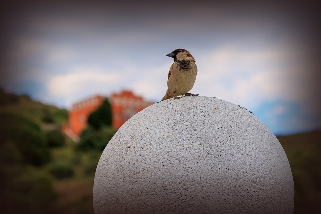 Desktop backgrounds for screen, for free download