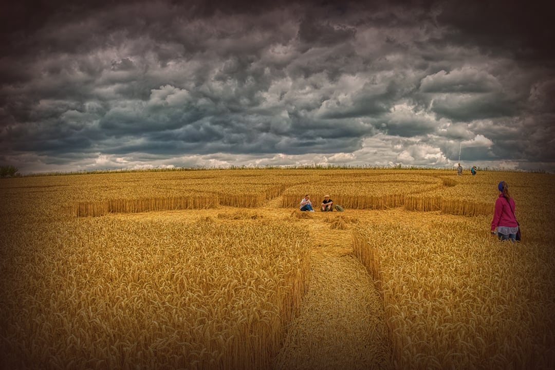 Crop circles – they really are a special kind of landscape art